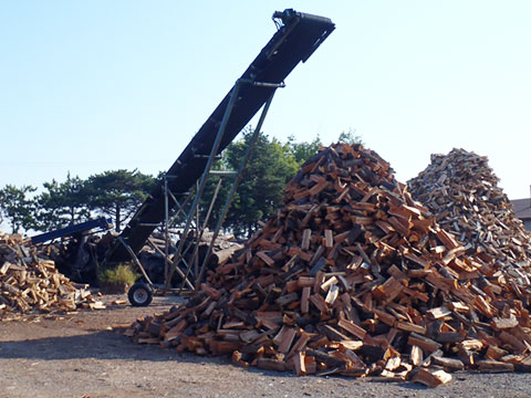 firewood piles